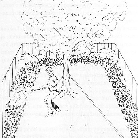 http://www.warnet.szm.sk/zahradnik.jpg